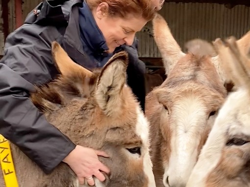 Ciara reunites with four of the foals she helped rescue.