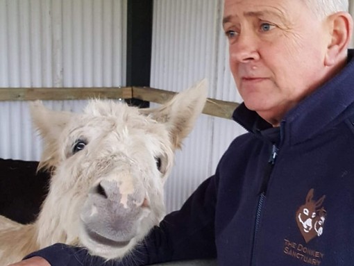 Donkey Welfare Adviser in a barn with a white donkey