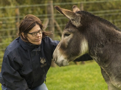 Donkey Welfare Adviser with Echo the donkey